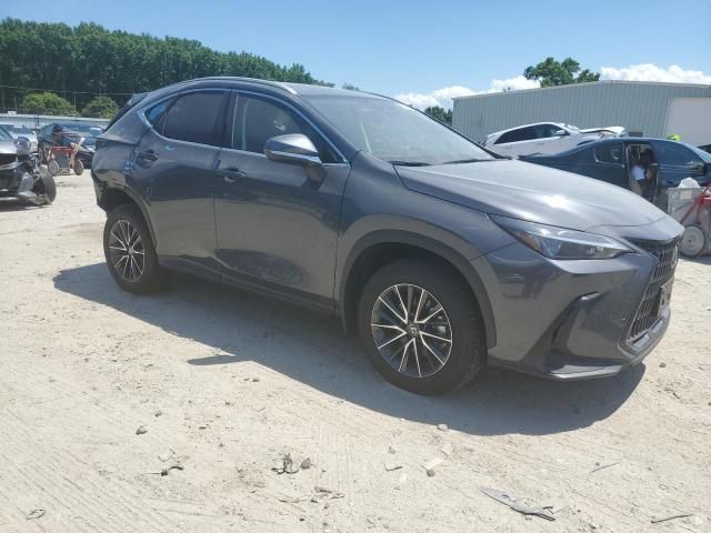 2022 Lexus NX 350