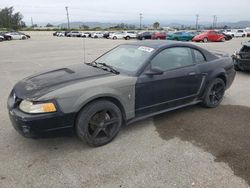 Muscle Cars for sale at auction: 2000 Ford Mustang