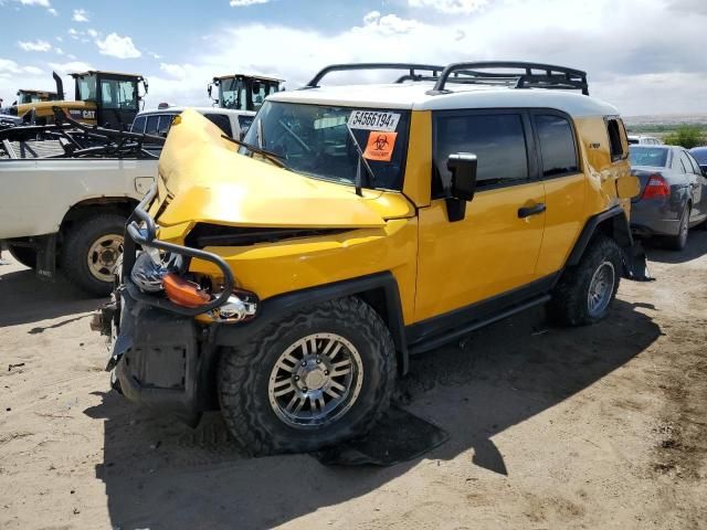 2007 Toyota FJ Cruiser