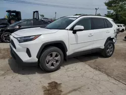 Salvage cars for sale from Copart Lexington, KY: 2024 Toyota Rav4 XLE