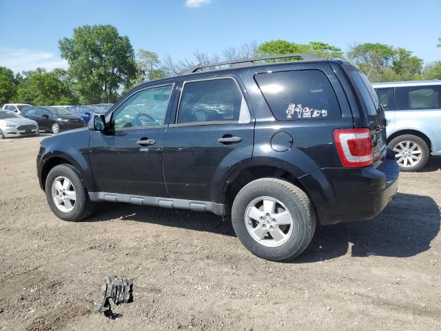 2009 Ford Escape XLT