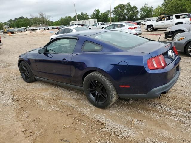 2010 Ford Mustang