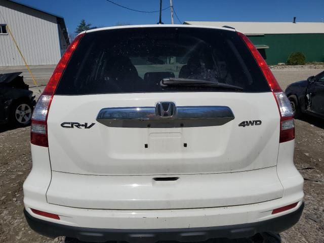 2010 Honda CR-V EXL