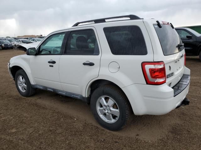 2010 Ford Escape XLT