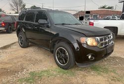 Salvage cars for sale at Grand Prairie, TX auction: 2010 Ford Escape XLT