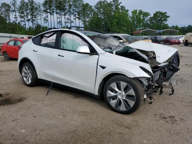 2020 Tesla Model Y