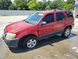 Salvage cars for sale at Savannah, GA auction: 2006 Ford Escape XLT
