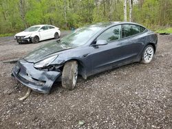 Salvage cars for sale at Bowmanville, ON auction: 2023 Tesla Model 3