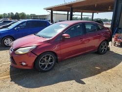 Ford Focus SE salvage cars for sale: 2013 Ford Focus SE