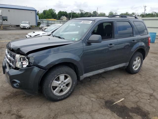 2009 Ford Escape XLT