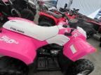 2007 Polaris Phoenix 200