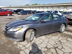 Salvage cars for sale at auction: 2016 Nissan Altima 2.5