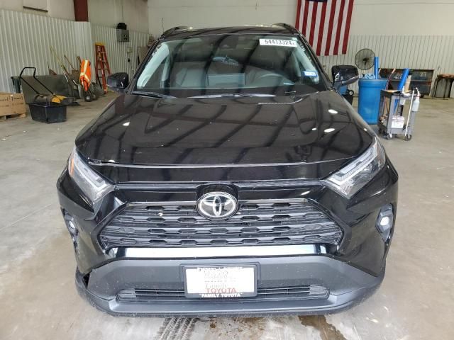 2024 Toyota Rav4 XLE Premium