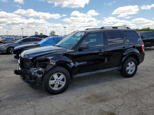 2009 Ford Escape XLT