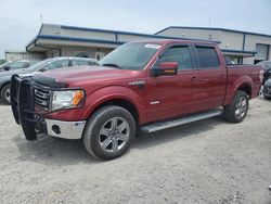 Ford f150 Supercrew Vehiculos salvage en venta: 2013 Ford F150 Supercrew