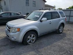 Salvage cars for sale at York Haven, PA auction: 2012 Ford Escape Limited