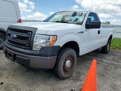 SUV salvage a la venta en subasta: 2013 Ford F150