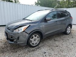 Salvage cars for sale at Baltimore, MD auction: 2016 Ford Escape SE