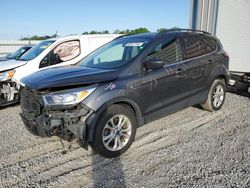 Salvage cars for sale from Copart Louisville, KY: 2018 Ford Escape SE