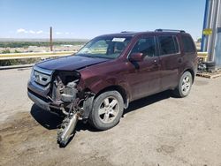 Vehiculos salvage en venta de Copart Albuquerque, NM: 2010 Honda Pilot EXL