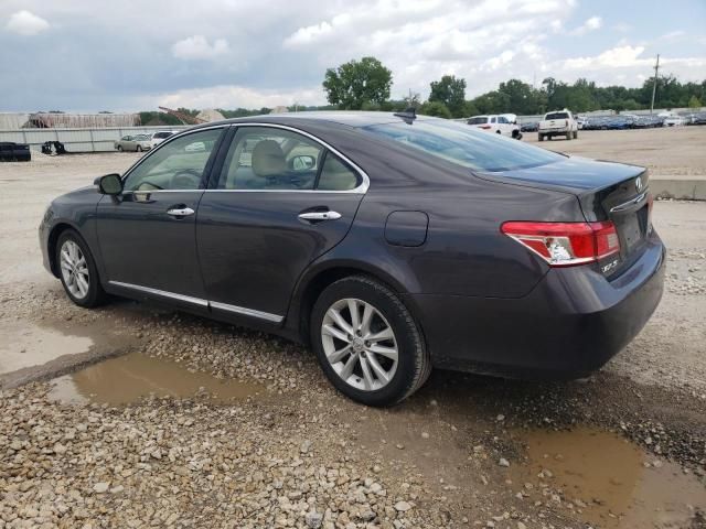 2010 Lexus ES 350