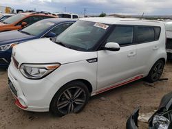 Salvage cars for sale from Copart Albuquerque, NM: 2014 KIA Soul +