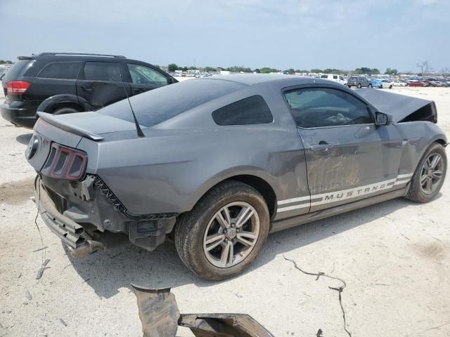 2013 Ford Mustang