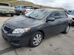 Vehiculos salvage en venta de Copart Littleton, CO: 2010 Toyota Corolla Base