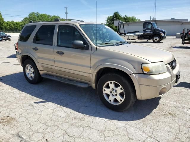 2007 Ford Escape XLT