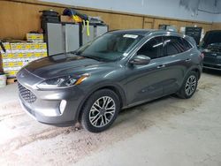 Salvage cars for sale at Kincheloe, MI auction: 2020 Ford Escape SEL