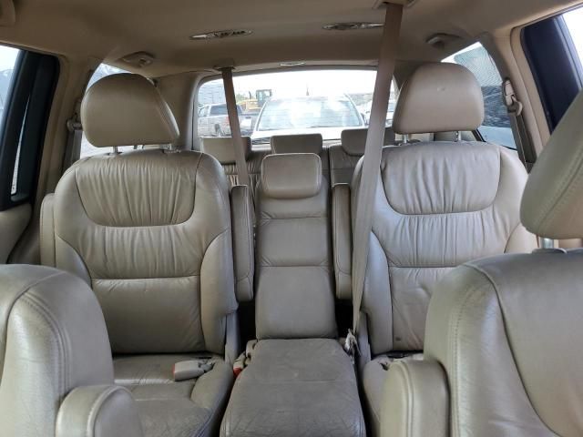 2005 Honda Odyssey EXL