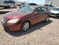 Salvage cars for sale at Phoenix, AZ auction: 2008 Lexus ES 350