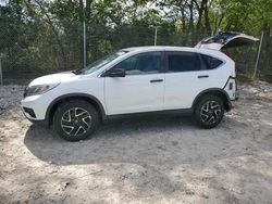 Salvage cars for sale at Cicero, IN auction: 2016 Honda CR-V SE