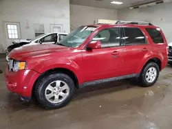 Salvage cars for sale from Copart Davison, MI: 2011 Ford Escape Limited