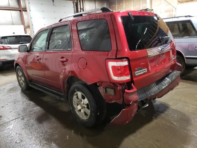 2008 Ford Escape Limited