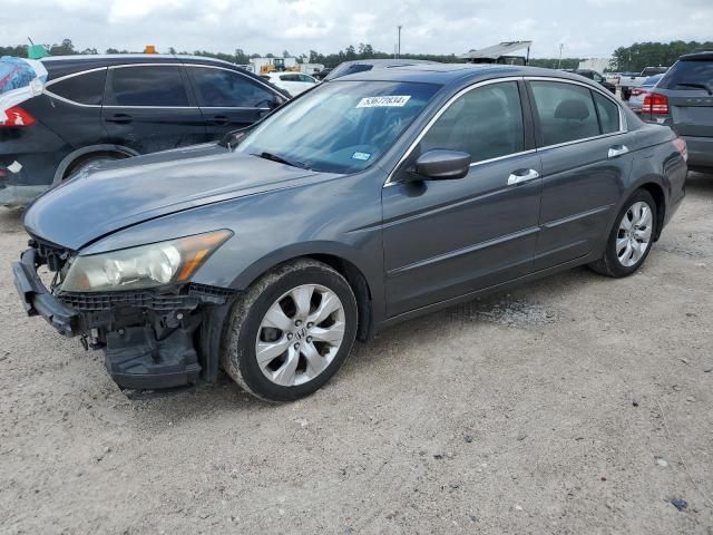 2010 Honda Accord EXL