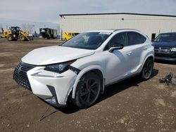 Salvage cars for sale from Copart Rocky View County, AB: 2020 Lexus NX 300