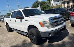 Salvage trucks for sale at Lebanon, TN auction: 2014 Ford F150 Supercrew