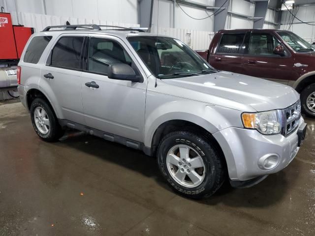 2009 Ford Escape XLT