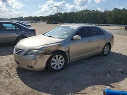 2007 Toyota Camry Hybrid en venta en Greenwell Springs, LA