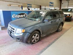 Vehiculos salvage en venta de Copart Angola, NY: 2011 Ford Escape XLT