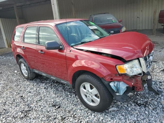 2011 Ford Escape XLS