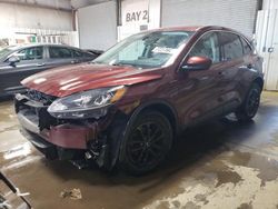 Salvage cars for sale from Copart Elgin, IL: 2021 Ford Escape SE