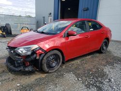 Salvage cars for sale at Elmsdale, NS auction: 2014 Toyota Corolla L