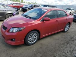Salvage cars for sale at Nisku, AB auction: 2010 Toyota Corolla Base