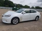 2013 Lexus ES 300H