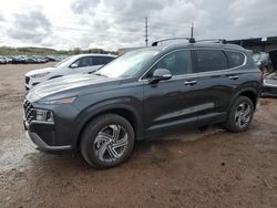 Salvage cars for sale at Colorado Springs, CO auction: 2023 Hyundai Santa FE SEL
