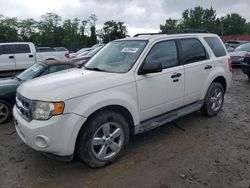 Salvage cars for sale from Copart Baltimore, MD: 2010 Ford Escape XLT