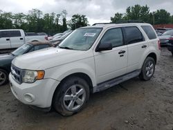 Vehiculos salvage en venta de Copart Baltimore, MD: 2010 Ford Escape XLT