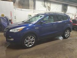 Salvage cars for sale at Casper, WY auction: 2013 Ford Escape SEL